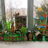Проект «Огород на окне»