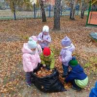 "Уборка опавших листьев"